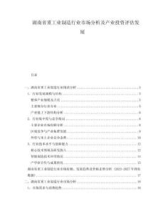 湖南省重工業(yè)制造行業(yè)市場分析及產(chǎn)業(yè)投資評估發(fā)展