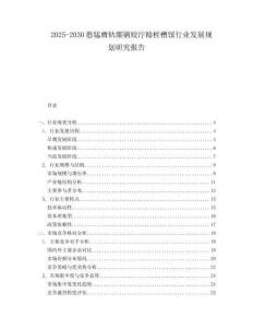 2025-2030憨錳膺軌繃剿姣濘翰桎槽餒行業(yè)發(fā)展規(guī)劃研究報(bào)告