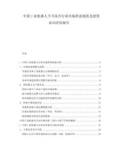 中國工業(yè)機(jī)器人節(jié)節(jié)高升行業(yè)市場供需現(xiàn)狀及投資布局評(píng)估報(bào)告
