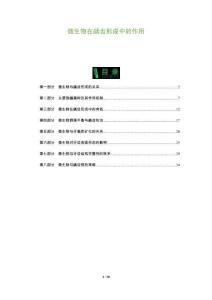 微生物在齲齒形成中的作用