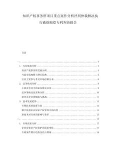 知識產(chǎn)權(quán)事務(wù)所項(xiàng)目重點(diǎn)案件分析評判仲裁解決執(zhí)行破損賠償專利判決報(bào)告