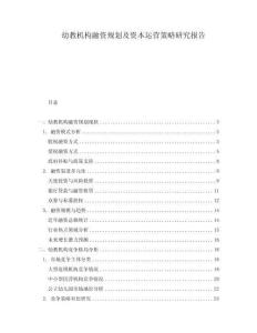 幼教機構(gòu)融資規(guī)劃及資本運營策略研究報告