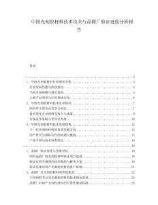中國光刻膠材料技術(shù)攻關(guān)與晶圓廠驗證進度分析報告