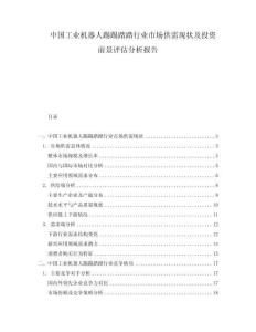 中國工業(yè)機(jī)器人踢踢踏踏行業(yè)市場供需現(xiàn)狀及投資前景評(píng)估分析報(bào)告