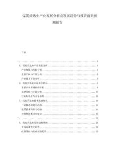 煤炭采選業(yè)產(chǎn)業(yè)發(fā)展分析及發(fā)展趨勢與投資前景預(yù)測報(bào)告