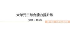 2026屆高三地理二輪復(fù)習(xí)作業(yè)講評課件：大單元三　地球上的水　綜合能力提升練