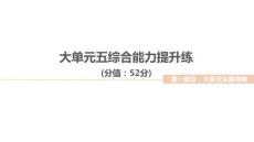 2026屆高三地理二輪復(fù)習(xí)作業(yè)講評課件：大單元五　自然環(huán)境的整體性與差異性　綜合能力提升練