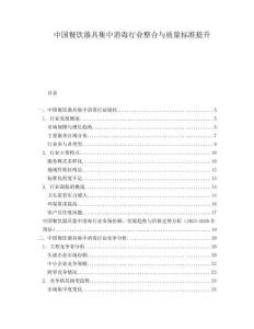 中國餐飲器具集中消毒行業(yè)整合與質(zhì)量標(biāo)準(zhǔn)提升