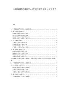 中國(guó)碳捕集與封存技術(shù)發(fā)展現(xiàn)狀及商業(yè)化前景報(bào)告