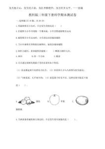 2025年教科版二年級下冊科學期末測試卷含完整答案【奪冠系列】