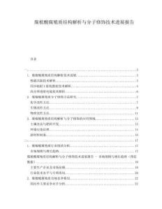腐植酸腐殖質結構解析與分子修飾技術進展報告