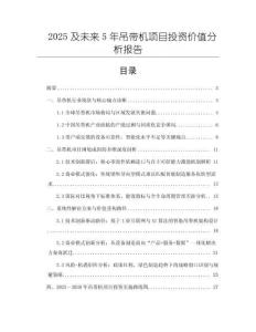 2025及未來5年吊帶機項目投資價值分析報告
