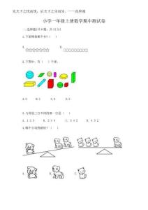 2025年小學一年級上冊數(shù)學期中測試卷及答案（奪冠）