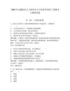 2025年安徽皖信人力宿州分公司業(yè)務(wù)外委用工招聘4人模擬試卷及完整答案詳解