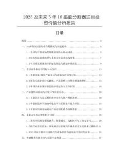 2025及未來5年16畫面分割器項目投資價值分析報告