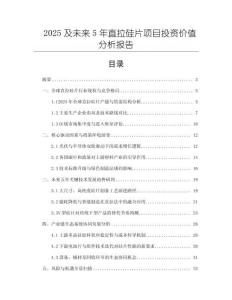 2025及未來5年直拉硅片項目投資價值分析報告