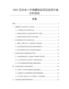2025及未來(lái)5年角雕制品項(xiàng)目投資價(jià)值分析報(bào)告