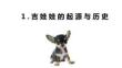 《寵物鑒賞》課件——吉娃娃
