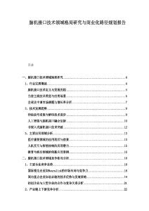 腦機接口技術領域格局研究與商業(yè)化路徑規(guī)劃報告