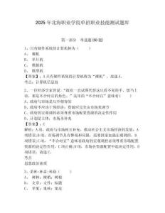 2025年北海職業(yè)學(xué)院單招職業(yè)技能測試題庫及答案詳解【新】