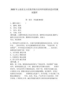2025年云南省文山壯族苗族自治州單招職業(yè)適應(yīng)性測(cè)試題庫(kù)含答案詳解【名師推薦】