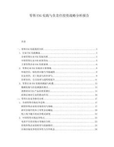零售ESG實踐與負(fù)責(zé)任投資戰(zhàn)略分析報告