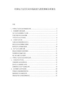 中國電子支付行業(yè)市場(chǎng)前景與投資策略分析報(bào)告
