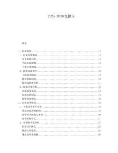 2025-2030究報告