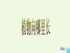 六年級科學上冊植物向哪里生長