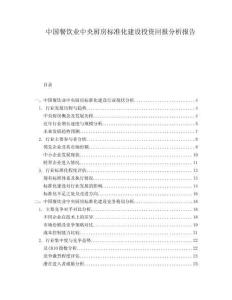 中國餐飲業(yè)中央廚房標(biāo)準(zhǔn)化建設(shè)投資回報分析報告