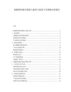 角膜塑形鏡市場(chǎng)準(zhǔn)入壁壘與渠道下沉策略分析報(bào)告