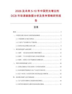 2026及未來5-10年中國熒光增白劑DCB市場調(diào)查數(shù)據(jù)分析及競爭策略研究報告