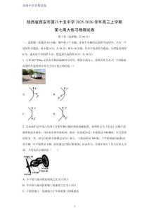 陜西省西安市第八十五中學(xué)2025-2026學(xué)年高三上學(xué)期第七周大練習(xí)物理試卷
