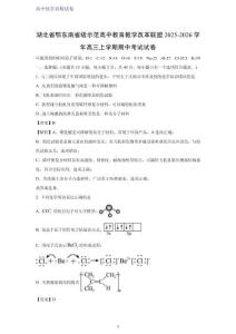 湖北省鄂東南省級(jí)示范高中教育教學(xué)改革聯(lián)盟2025-2026學(xué)年高三上學(xué)期期中考試化學(xué)試卷（解析版）