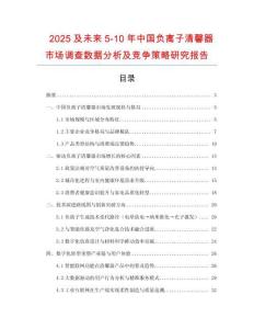 2025及未來5-10年中國負離子清馨器市場調查數據分析及競爭策略研究報告