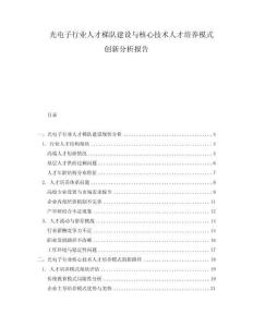 光電子行業(yè)人才梯隊建設(shè)與核心技術(shù)人才培養(yǎng)模式創(chuàng)新分析報告