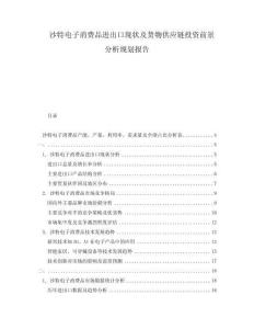 沙特電子消費(fèi)品進(jìn)出口現(xiàn)狀及貨物供應(yīng)鏈投資前景分析規(guī)劃報(bào)告