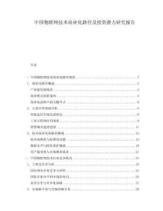 中國物聯(lián)網(wǎng)技術(shù)商業(yè)化路徑及投資潛力研究報告