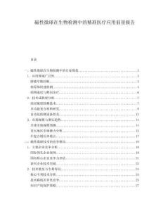 磁性微球在生物檢測中的精準(zhǔn)醫(yī)療應(yīng)用前景報告