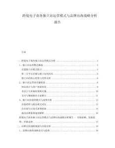 跨境電子商務獨立站運營模式與品牌出海戰(zhàn)略分析報告