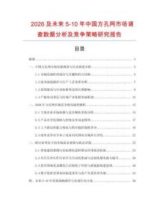 2026及未來5-10年中國方孔網市場調查數據分析及競爭策略研究報告