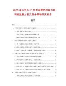 2025及未來5-10年中國寬帶棕絲市場調查數據分析及競爭策略研究報告