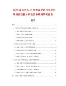 2026及未來5-10年中國皮芯白布輪市場調查數據分析及競爭策略研究報告
