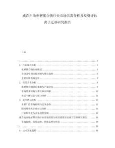 威肯電池電解聚合物行業(yè)市場(chǎng)供需分析及投資評(píng)估離子遷移研究報(bào)告