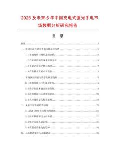 2026及未來5年中國充電式強光手電市場數據分析研究報告