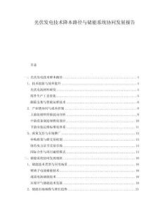 光伏發(fā)電技術(shù)降本路徑與儲(chǔ)能系統(tǒng)協(xié)同發(fā)展報(bào)告