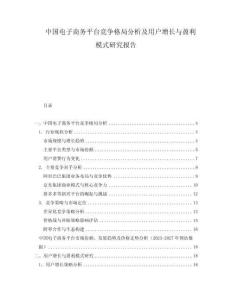 中國電子商務(wù)平臺競爭格局分析及用戶增長與盈利模式研究報告