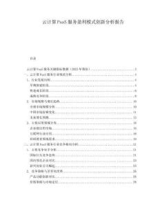 云計(jì)算PaaS服務(wù)盈利模式創(chuàng)新分析報(bào)告