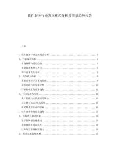 軟件服務(wù)行業(yè)發(fā)展模式分析及前景趨勢報告