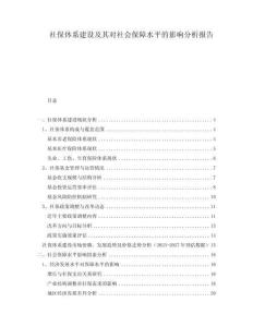 社保體系建設(shè)及其對社會保障水平的影響分析報(bào)告